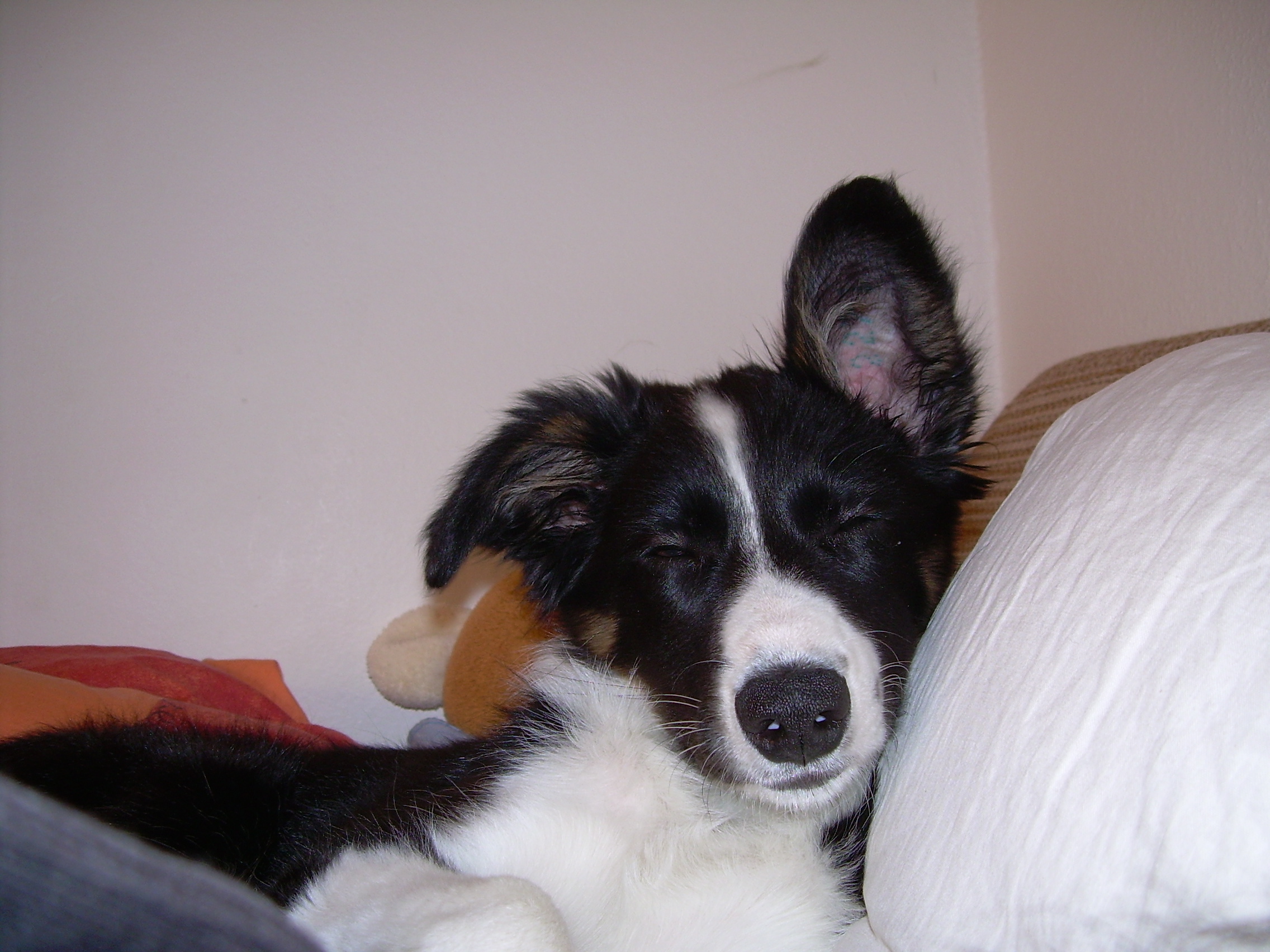 DSCN5131.JPG